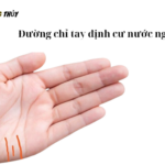 Đường chỉ tay định cư nước ngoài