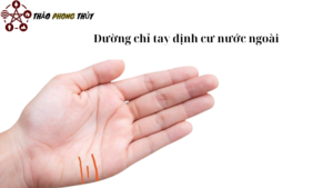 Đường chỉ tay định cư nước ngoài